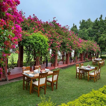Naturoville Ayurvedic And Yoga Retreat Hotel Risikés Kültér fotó