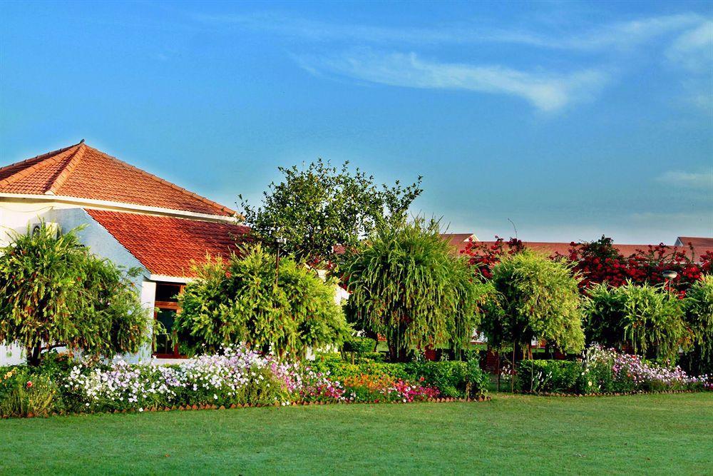 Naturoville Ayurvedic And Yoga Retreat Hotel Risikés Kültér fotó