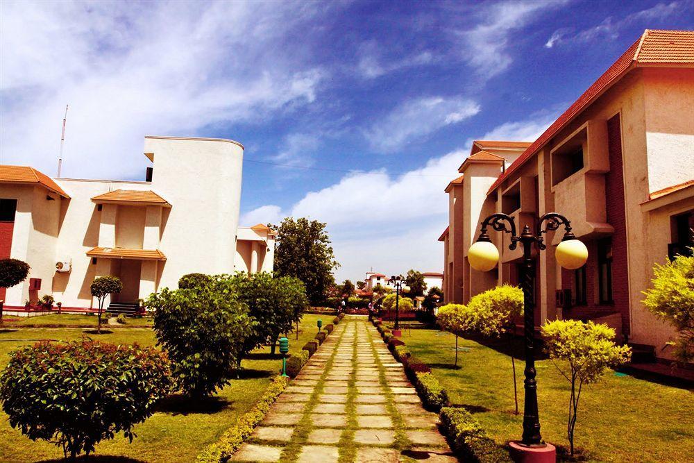 Naturoville Ayurvedic And Yoga Retreat Hotel Risikés Kültér fotó