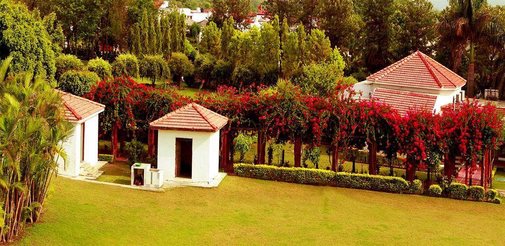 Naturoville Ayurvedic And Yoga Retreat Hotel Risikés Kültér fotó