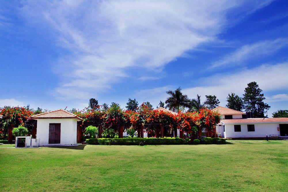 Naturoville Ayurvedic And Yoga Retreat Hotel Risikés Kültér fotó