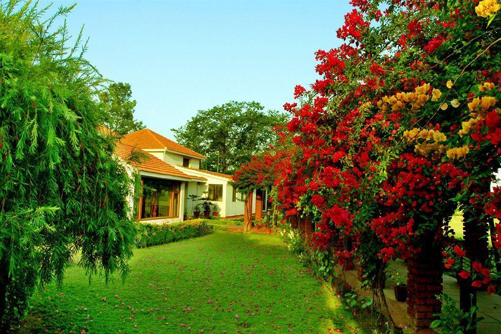 Naturoville Ayurvedic And Yoga Retreat Hotel Risikés Kültér fotó