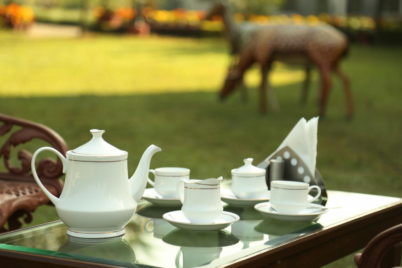 Naturoville Ayurvedic And Yoga Retreat Hotel Risikés Kültér fotó