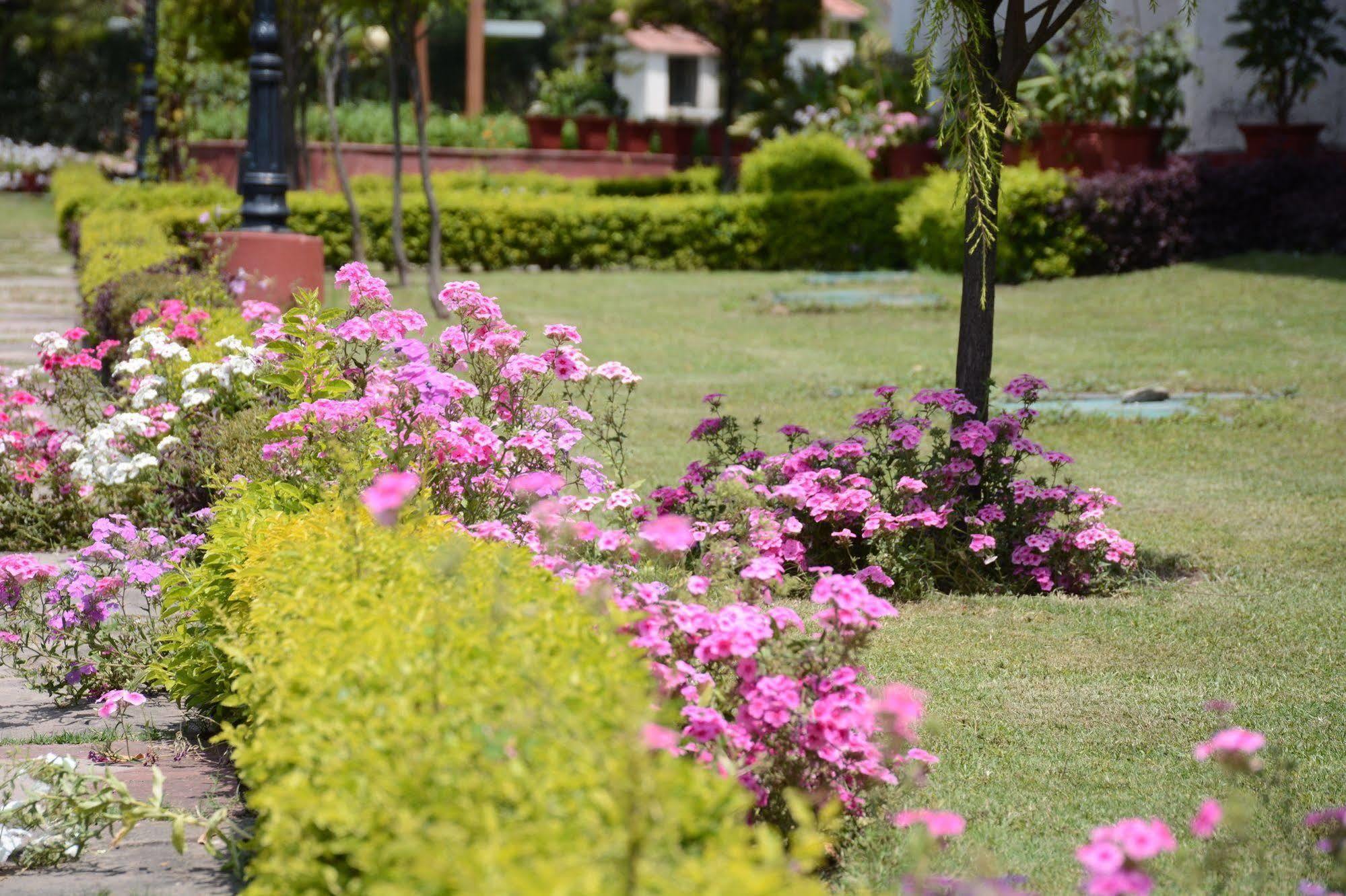 Naturoville Ayurvedic And Yoga Retreat Hotel Risikés Kültér fotó