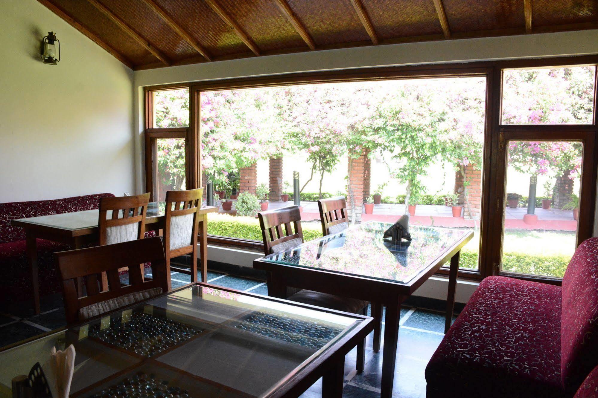 Naturoville Ayurvedic And Yoga Retreat Hotel Risikés Kültér fotó