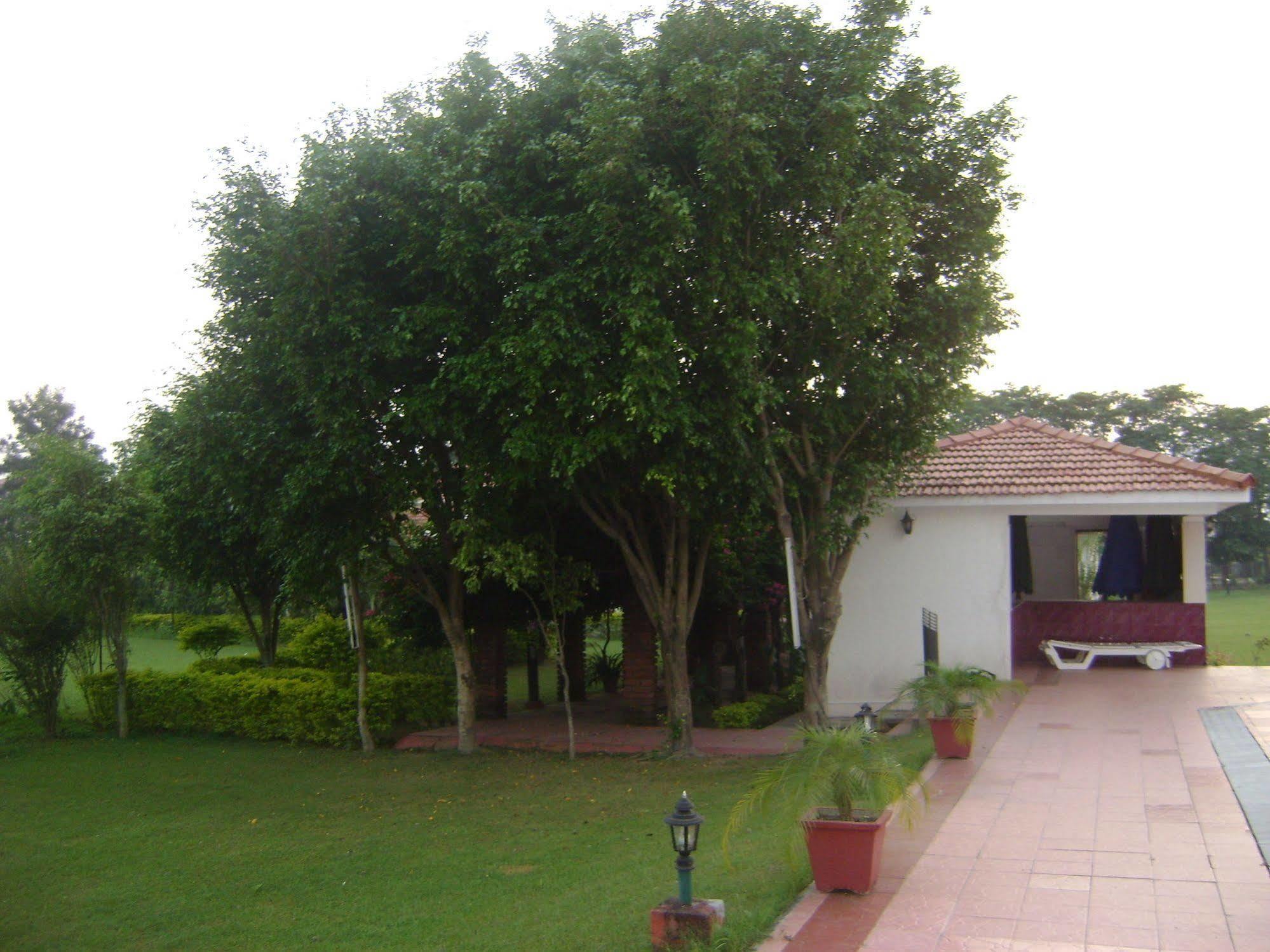 Naturoville Ayurvedic And Yoga Retreat Hotel Risikés Kültér fotó