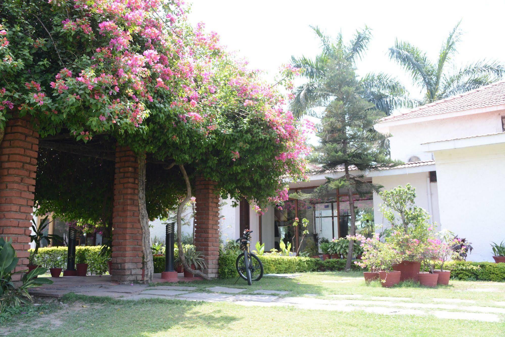 Naturoville Ayurvedic And Yoga Retreat Hotel Risikés Kültér fotó