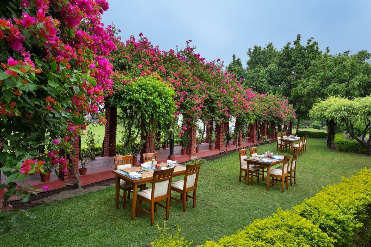 Naturoville Ayurvedic And Yoga Retreat Hotel Risikés Kültér fotó