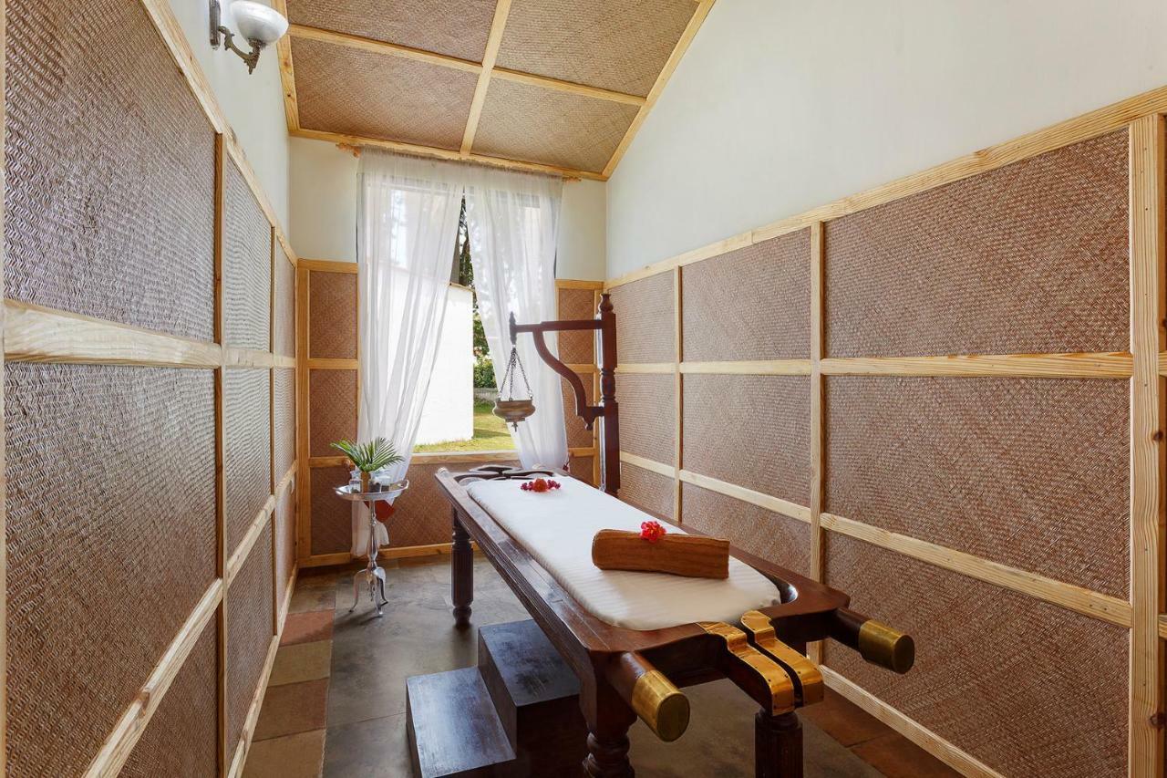 Naturoville Ayurvedic And Yoga Retreat Hotel Risikés Kültér fotó